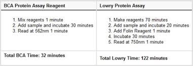 Check spelling or type a new query. Thermo Scientific Pierce Bca Protein Assay Kit Proteinbiologie Life Sciences Fisher Scientific