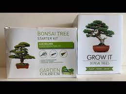 You are now the owner of a healthy plant. Grow It And Garden Coliseum Bonsai Grow Kits Plus Instructions Youtube