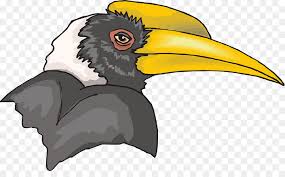 Novel ini mengisahkan suatu insiden yang berakar hasil ketidaksetaraan antara kaum di selatan amerika syarikat. 20 Inspirasi Gambar Sketsa Burung Enggang Tea And Lead