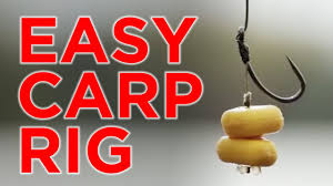 They're that good… and definitely worth the extra cost. 10 Best Carp Rigs Setups 2021 With Diagrams The Carp Hideout