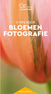 Bloemen Fotograferen 11 Tips Fotografietips Fotografie Fototips