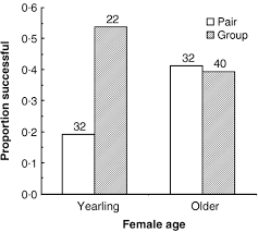 The yearling is all of these things. Group Breeding Dramatically Increases Reproductive Success Of Yearling But Not Older Female Scrubwrens A Model For Cooperatively Breeding Birds Magrath 2001 Journal Of Animal Ecology Wiley Online Library