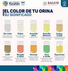 Pin By Lou Kia On Salud Home Remedies Remedies Tips