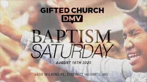 Proverbs 26:2 NLT Like a fluttering sparrow or a darting swallow, an  undeserved curse will not land