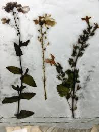 Judith Isaac-Lewis — PRISM TEXTILES