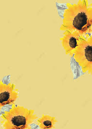 Jaman dahulu macam macam bunga digunakan untuk mengirimkan pesan kode. Wallpaper Bunga Matahari Kreatif Kreativitas Bunga Segar Bunga Matahari Gambar Latar Belakang Untuk Unduhan Gratis
