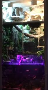 Pin By Lischa Lanala On Zukunftige Projekte Small Pets Aquarium Pets