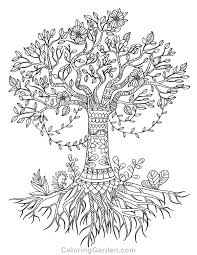 Tree species vary in height. Tree Of Life Adult Coloring Page