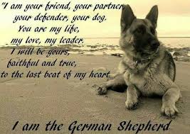 I Love My Dog There S A Reason Dog Spelled Backwards Is God German Shepherd Shepherd Dog German Shepherd Dogs