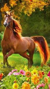 Majestic Beast Beast Majestic Beautiful Horses Most Beautiful Horses Horses