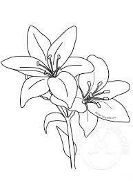 Lily 5 tons of flower coloring sheets! Lily Flower Coloring Page Lilies Coloring Page Of Lily Flower Coloring Page Flower Coloring Pages Easter Printables Free Easter Lily