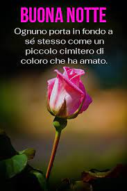 È sera, ed è tempo che i fiori chiudano le loro corolle. 2020 Novita Immagini Di Fiori Di Buona Notte