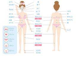 ムダ毛は恋の邪魔 男性が最も気になるのはvio未処理だった 脱毛 ムダ毛 vio脱毛