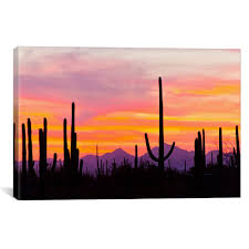 Icanvas Saguaro Cacti At Sunset I Saguaro National Park Sonoran Desert Arizona Usa By Cathy Gordon Illg Canvas Wall Art Cgi2 1pc3 18x12 Canvas Wall Art Wall Art Art