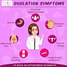 You're most fertile during the three days leading up to ovulation. Pophale Nursing Home Evita Women S Health The Signs Of Ovulation Vary From Woman To Woman It Is Possible That Some Women Will Not Even Experience Symptoms The Time Of Ovulation