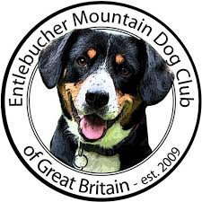 We want to hear your opinion! Swisshaven Great Swiss Mountain Dogs Home Facebook