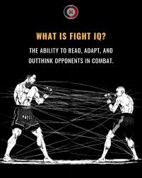 Fight IQ 2