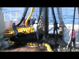 Purse Seine Fishing - YouTube