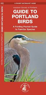 Identification Birds Of New Jersey Field Guide Guide To Portland Birds Field Guide Birds Portland