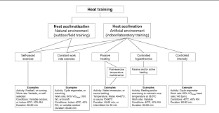 handle the heat heat acclimation for endurance running