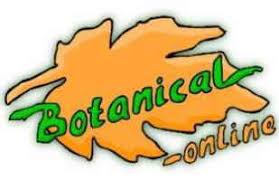 Oxalate Content Of Foods Botanical Online