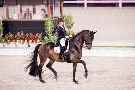 Mit dem hohen tempo des leichtathletik. Olympische Spiele Tag 3 Heute Ist Teamentscheidung Neues Startzeiten Reglement Macht Es Extra Spannend Equestrian Worldwide Pferdesport Weltweit Eqwo Net