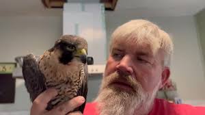 Two miles into a search for migrant remains