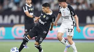 Botafogo Achou a Dupla Perfeita? Títulos à Vista em 2025! - Imagen principal del artículo