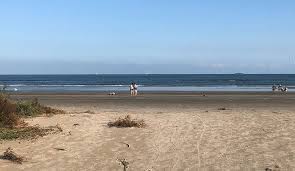 Click here to find out more information or to book a reservation. Beach Town Beach Access 1a Galveston Tx Galveston Com