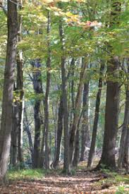 Maybe you would like to learn more about one of these? The Benefits Of Building A Strong Relationship With God Hatboro Pa Patch