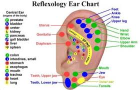 Pin By Kimberly Pejko On Stuff To Buy Ear Reflexology