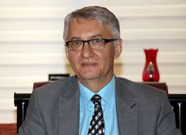 The presidents of Serbia and Iran are committed to developing bilateral  ties,” Says Serbian Ambassador to Iran.