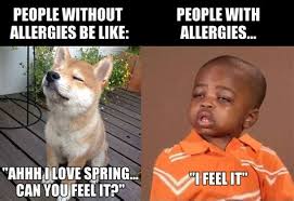 Allergies are sensitivities to various substances throughout the environment. Spring Allergies Memes
