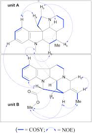 Image result for Hunteria congolana