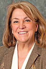 Summit County Council, District 8