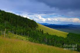 #kenosha pass #colorado #kenosha #co 285 #nature #landscape #rockies #mountains. Summer On Kenosha Pass Photograph By Barbara Schultheis