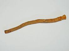 Maybe you would like to learn more about one of these? Miswak Wikipedia