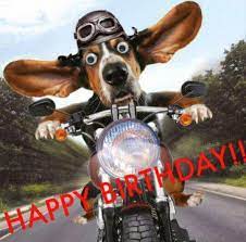 Pin By Claudia Covarrubias On Gefeliciteerd Met Je Verjaardag Happy Birthday Happy Birthday Motorcycle Happy Birthday Bill Happy Birthday Funny