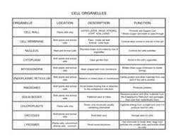 May 31, 2021 reading time: Organelle With Its Function Bing Images Cell Organelles Organelles Cell Parts