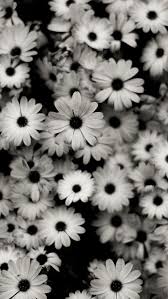Black And White Flower Screensaver Pinterest Donutlookatme Deep Wallpaper Black And White Wallpaper Iphone Wallpaper