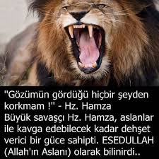 Bora Obek Adli Kullanicinin Halifeler Sahabeler Panosundaki Pin Aslanlar Ilham Verici Sozler Inanc Sozleri