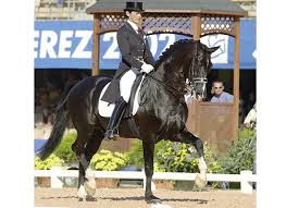 Ferro The Horse Magazine