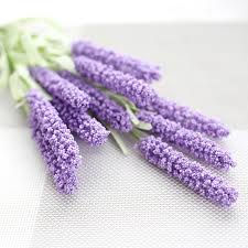 Perfect for professional soap makers and diy hobbyists. Cross Border 12 Provence Lavender Flower Plant Fake Flower Decoration Flower Silk Artificial Flower Wholesale Mw09903 Zoppah Com Zoppah Online