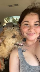 Rehoming a sweet stray dog in Pensacola