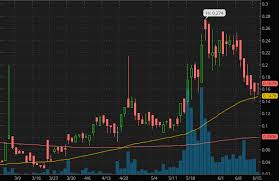 Though the cryptocurrency didn't gain impressive heights in 2020, it's still very promising. Are Stocks An Asset Penny Stock Ipo 2020 Mountain Hotel