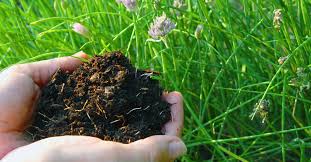 Rubbermaid totes are excellent for vermiculture of. Diy Composting How To Make A Plastic Compost Bin For Under 20