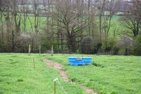 La trottinette sur herbe est un engin idéal pour découvrir charmey et ses environs. Paturage Gagnant Terrena