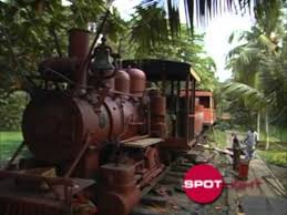 Promotion Cayman Airways Ltd