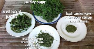 Meskipun fungsi utamanya untuk saat ini adalah sebagai garnish dalam makanan, parsley sudah digunakan untuk. Resep Tips Mengeringkan Parsley Dry Parsley Oleh Jatuz Relieviana Cookpad