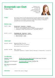 Gratis voorbeeld van een functioneel curriculum vitae. Cv Voorbeeld De Beste Gratis Cv Voorbeelden In 2021